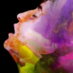 Orgasmic Wave - Orgasmiche Körpermeditation in Krefeld